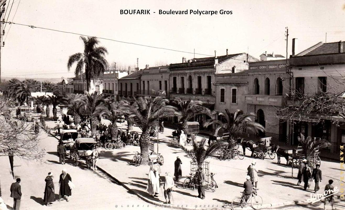 2615- Boufarik - Boulevard Polycarpe Gros.jpg